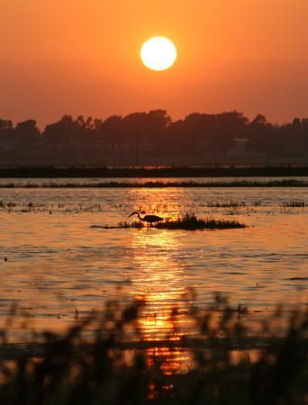 Seal Beach National Wildlife Refuge
